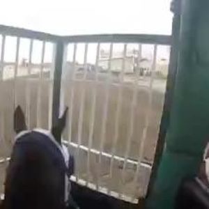 Meet your Posher, Wpjockey